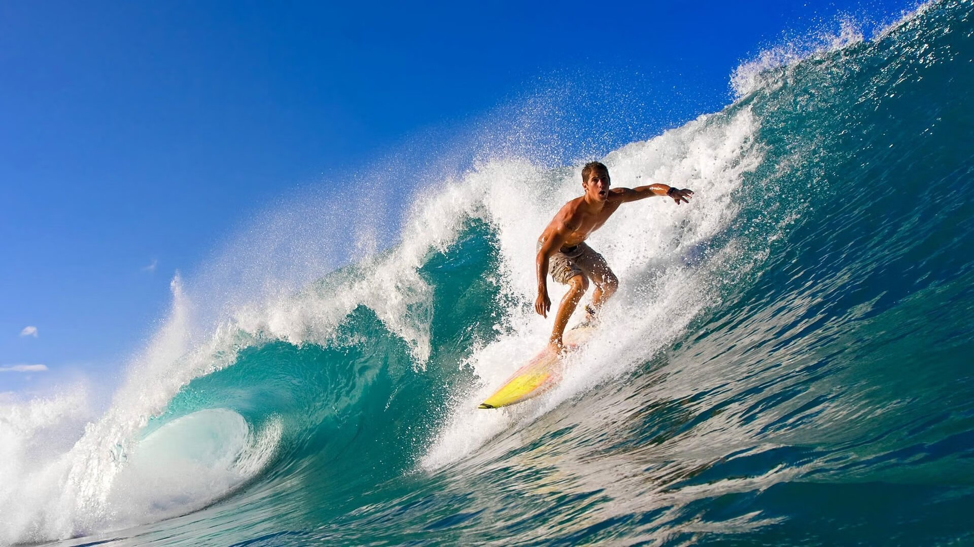 东契奇魔法,当奇才掌控节奏,浙江猛虎为何成了提线木偶?